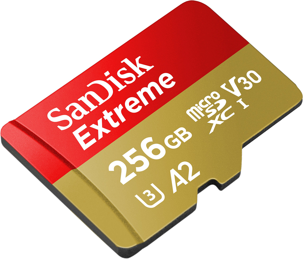 SDSQXAV-256G-GN6MA SanDisk Memorias Panamá