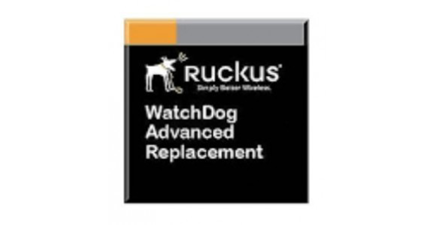 803-T350-5000 Ruckus Warranty Panamá