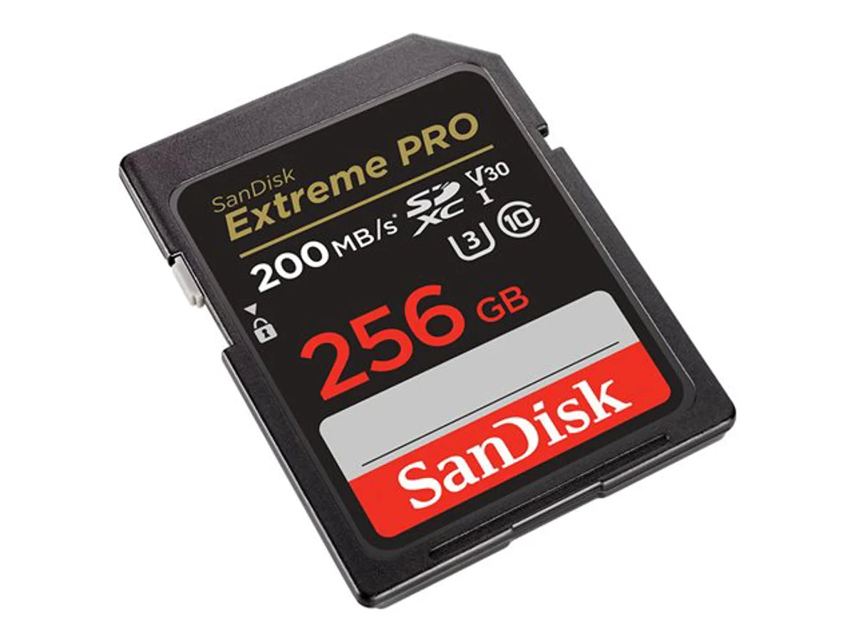 SDSDXXD-256G-GN4IN [1ade15a3-30da-4f0c-bbf5-4dc51409d926]