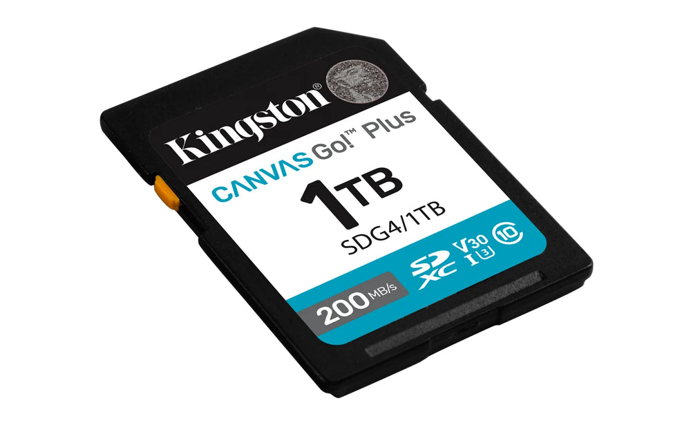 SDG4/1TB  Kingston  Memorias Panamá [1d7aeed3-e1a9-41fc-ac6f-48b0f01d805e]