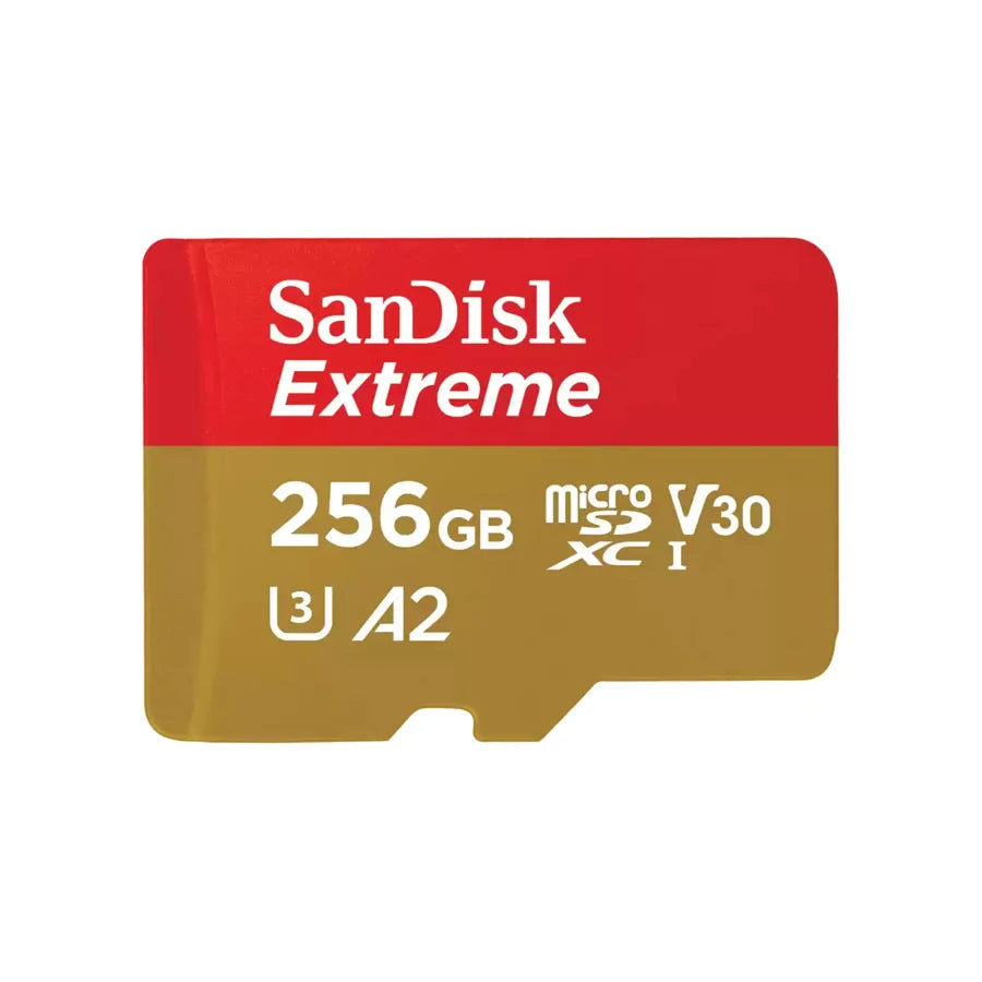 SDSQXAV-256G-GN6MA [2605ab66-0553-4459-bf1c-811e6547a1f9]