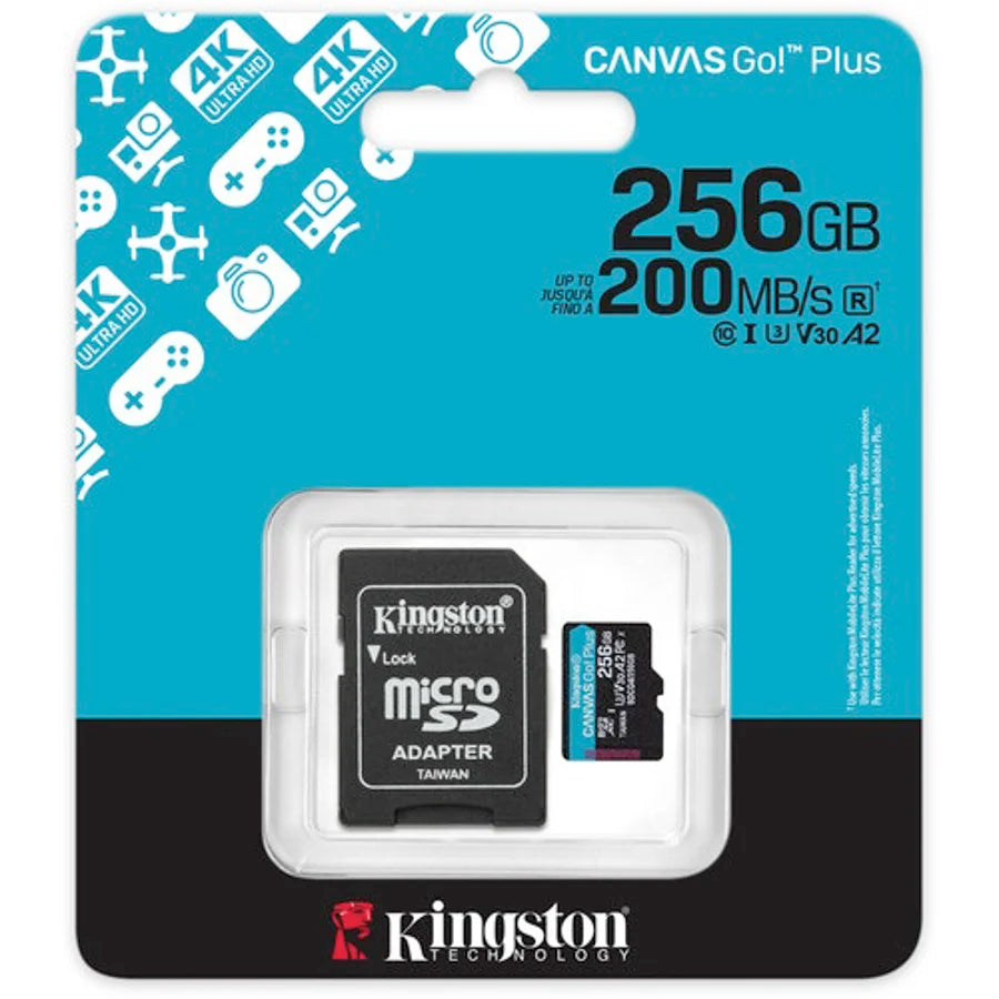 SDCG4/256GB [3d197316-6773-486f-ae9a-051f93ff845d]