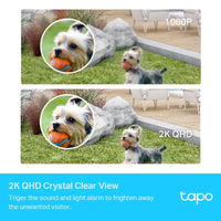 Tapo C420S2  TP-Link  Vigilancia de Video Panamá [6eff9aaf-b585-4d9d-bb95-b5139f5d081e]