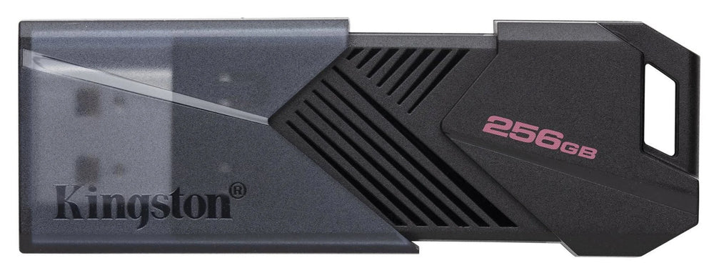 DTXON/256GB [79656637-3304-497e-af01-2c9b82ef1d76]
