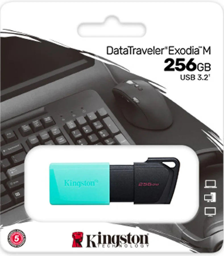 DTXM/256GB [940c5bdb-6f3f-43d8-ab80-ccfa24232b62]