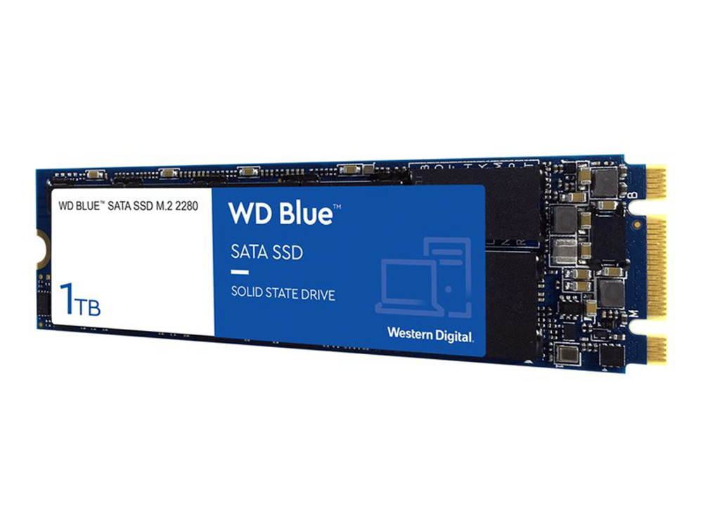 WDS100T2B0B  Western Digital  Almacenamiento Panamá