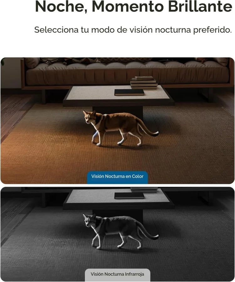 T8417121  Eufy  Vigilancia de Video Panamá [abf9490b-4539-4999-aae9-03dfc95d4d56]