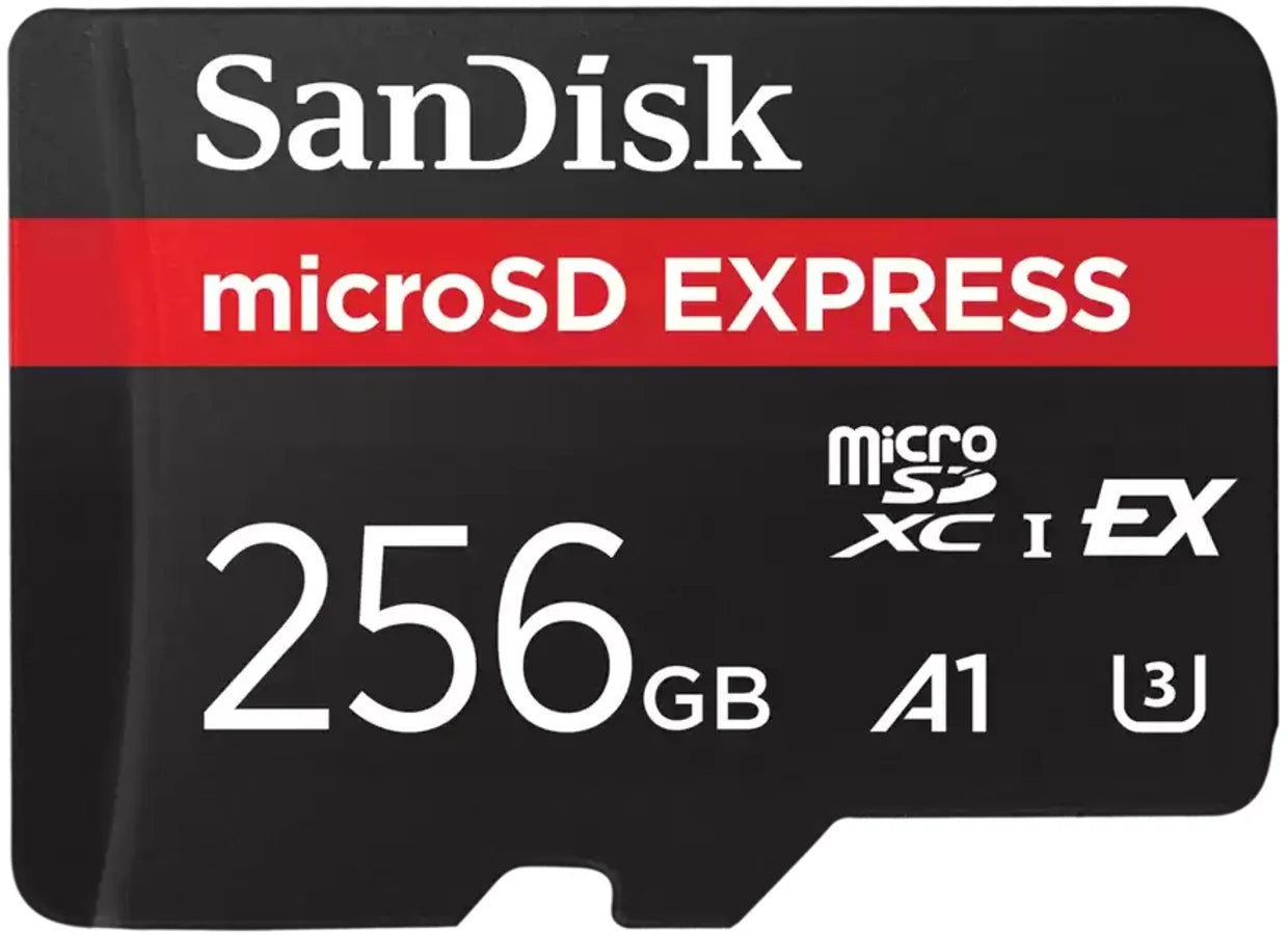 SDSQXFN-256G-GN4NN [accd858c-59b9-4eec-b307-976041b5893c]
