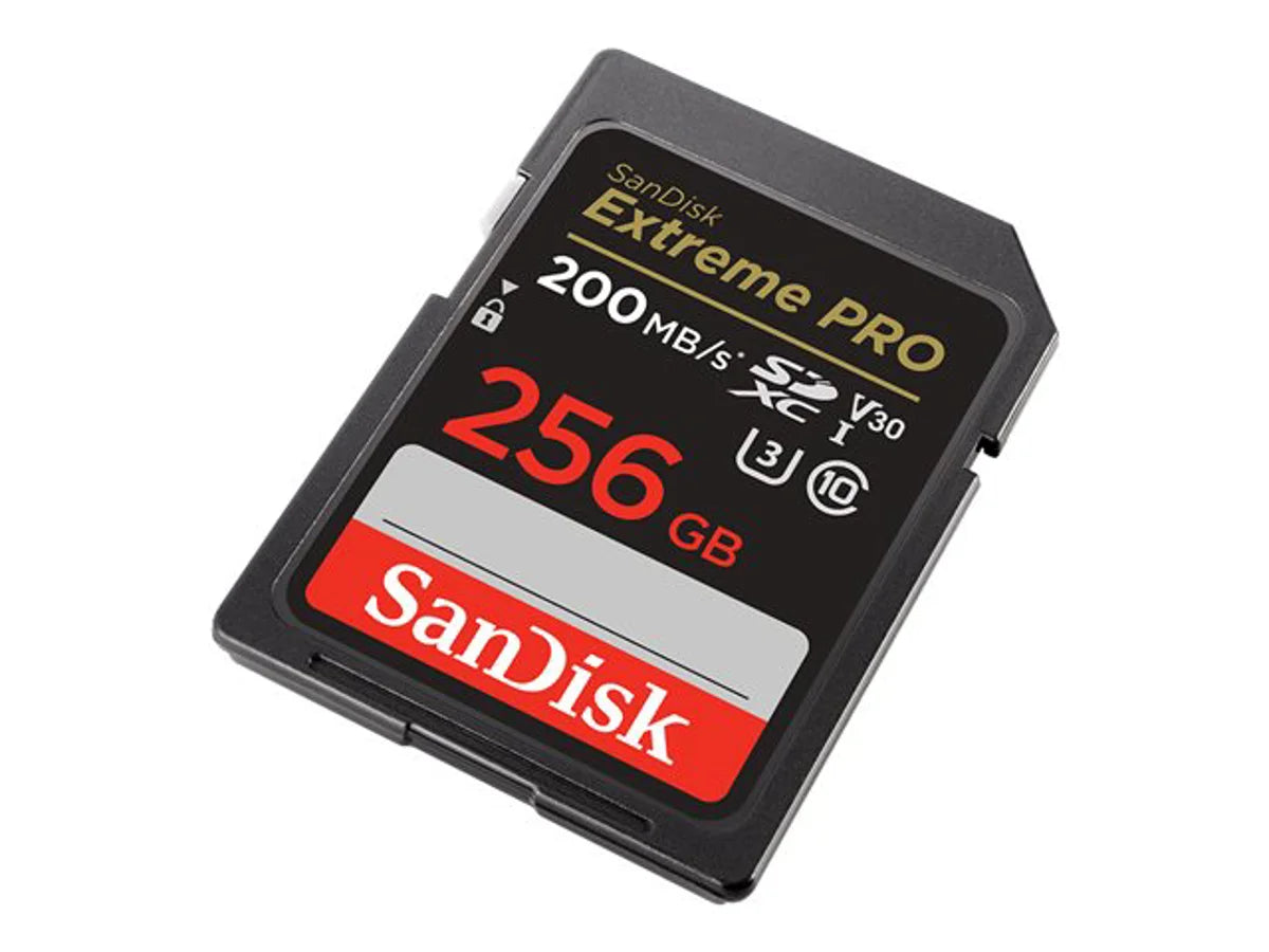 SDSDXXD-256G-GN4IN [bd03d224-8a1e-4194-9ffa-a7d1d4f1b338]