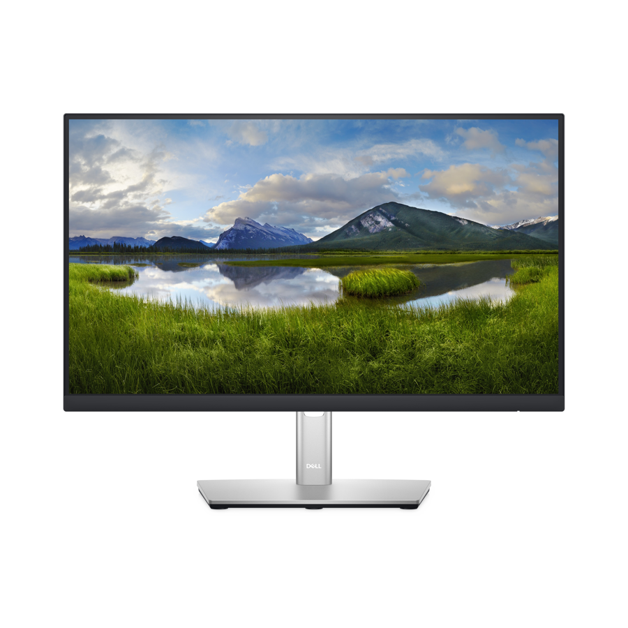 P2222H  Dell  Monitores Panamá