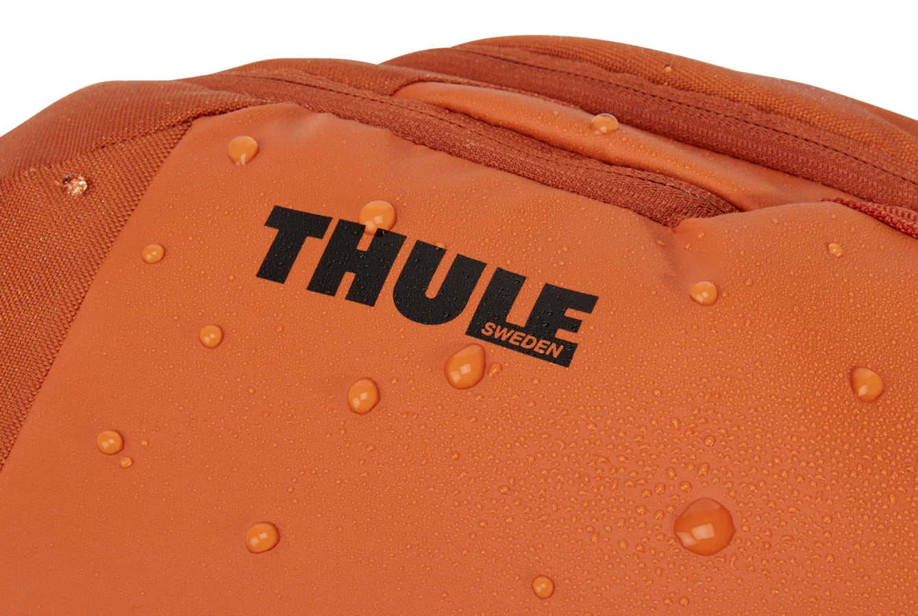 3204295  Thule  Maletines Panamá [c413a0d3-20ac-4eb9-858a-d3660ccc7c60]