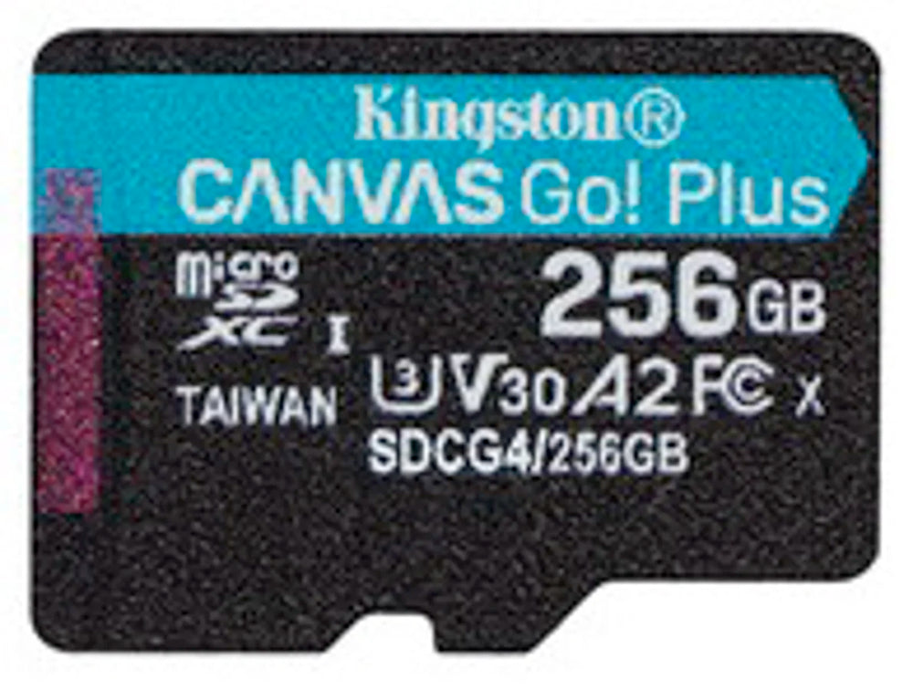 SDCG4/256GB [c5d17f0e-8120-40d4-93e6-fd926a1052b1]