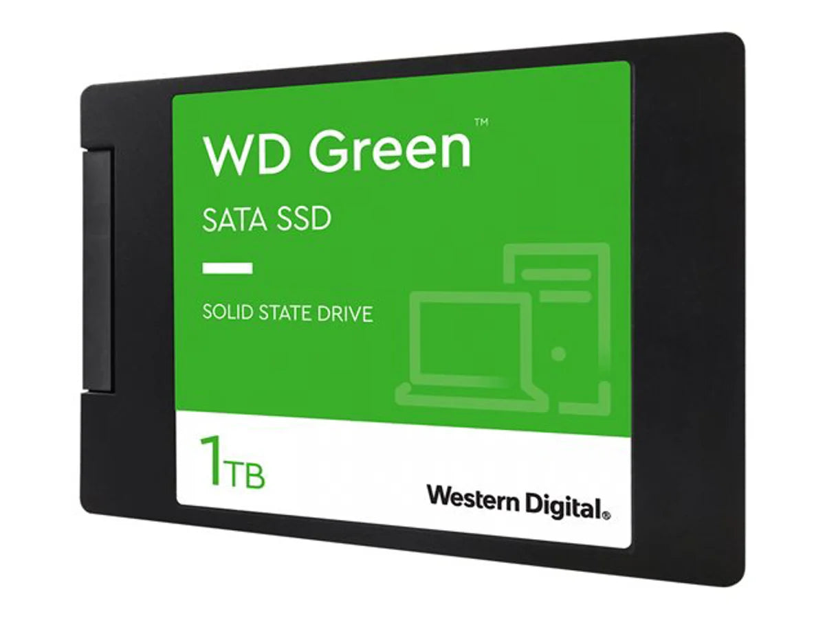 WDS100T3G0A [e5e97ee6-5e7a-4fa4-8d76-b595b853fbb7]