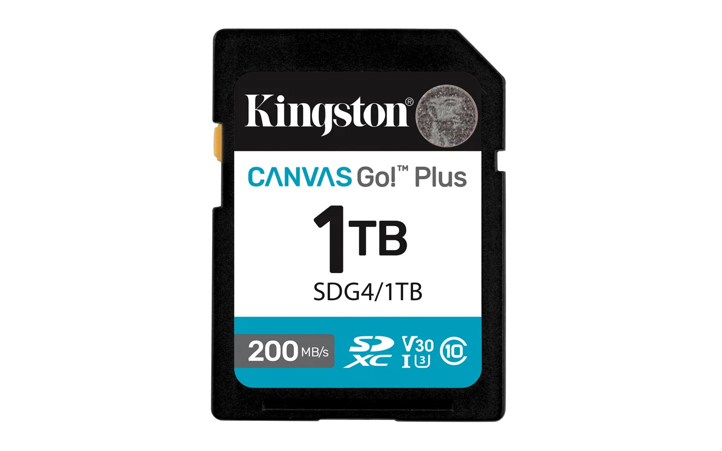 SDG4/1TB  Kingston  Memorias Panamá [ee827ffe-96aa-41a5-ac85-2abeed8321c5]